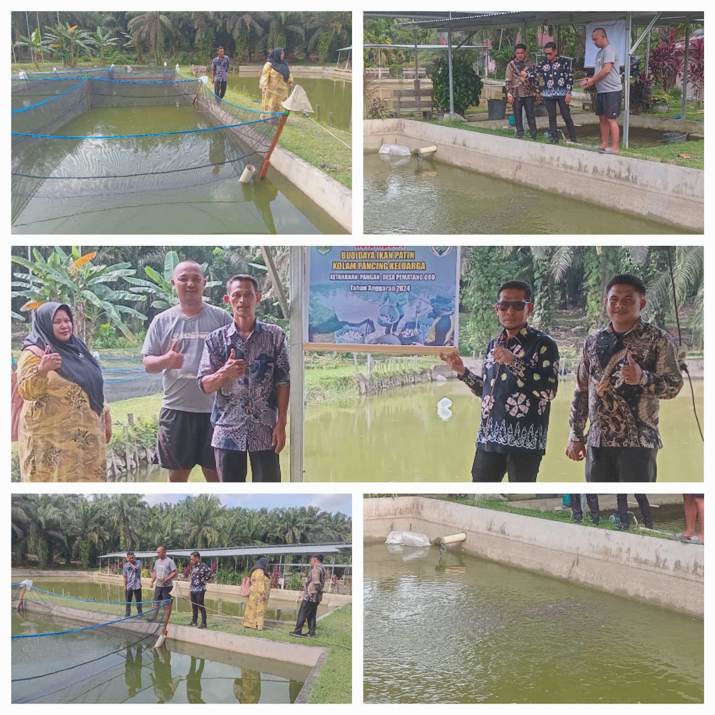 Dukung Program Presiden RI, Ketahan Pangan, Desa Pematang Obo Budidaya ikan Patin Sebanyak 20 ribu ekor.